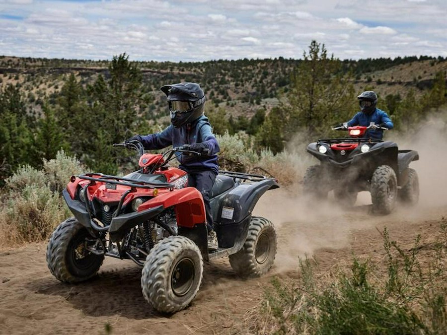 2025 Yamaha Grizzly 110