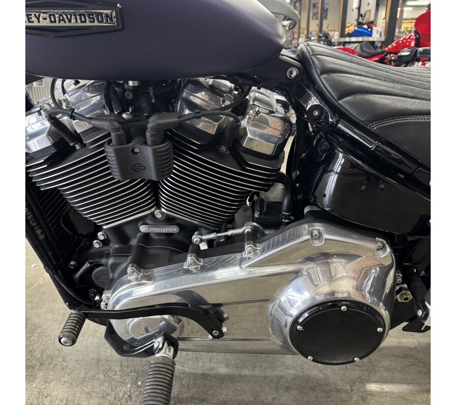 2025 Harley-Davidson Street Bob