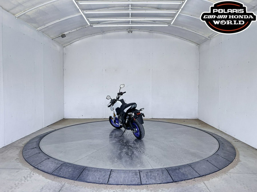 2026 Kawasaki Z125 PRO