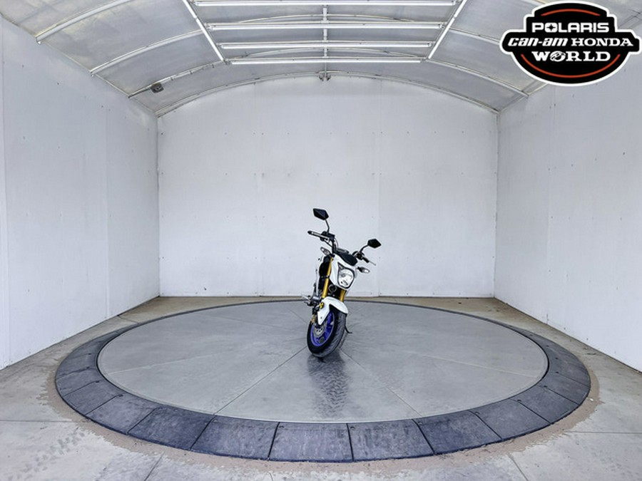 2026 Kawasaki Z125 PRO