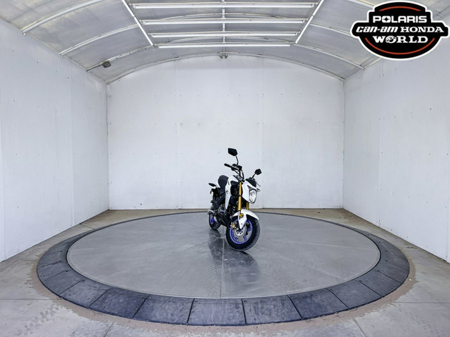 2026 Kawasaki Z125 PRO