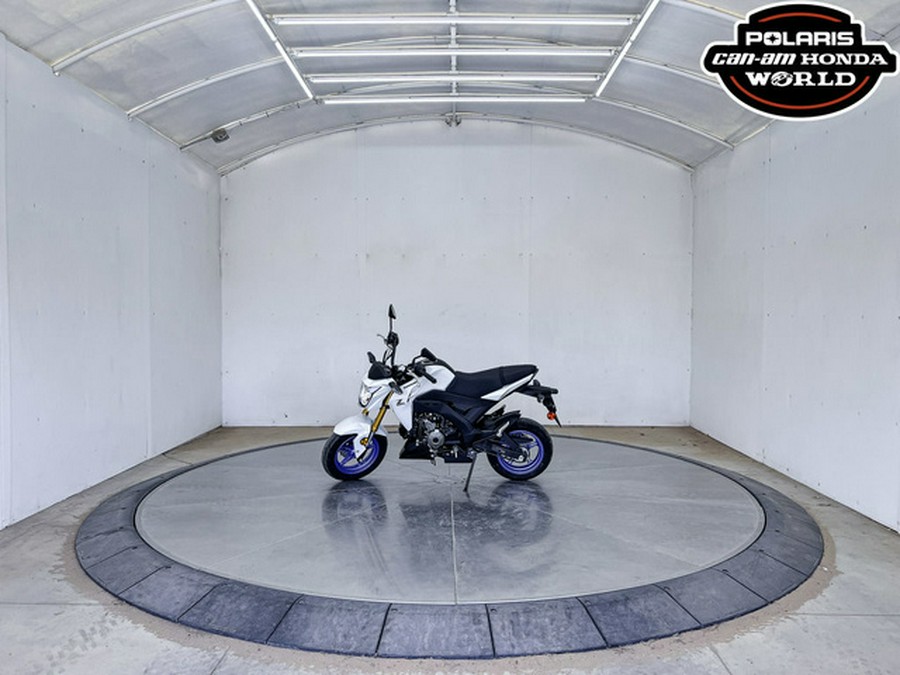 2026 Kawasaki Z125 PRO
