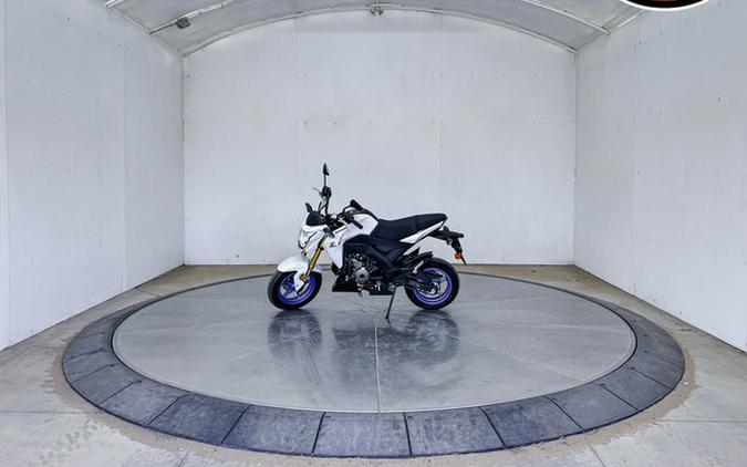 2026 Kawasaki Z125 PRO