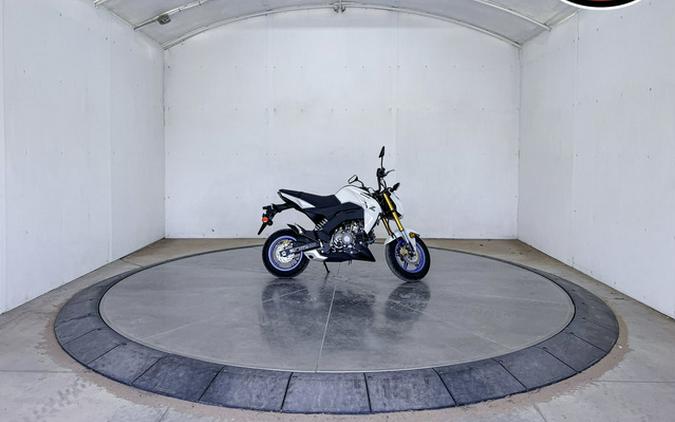 2026 Kawasaki Z125 PRO