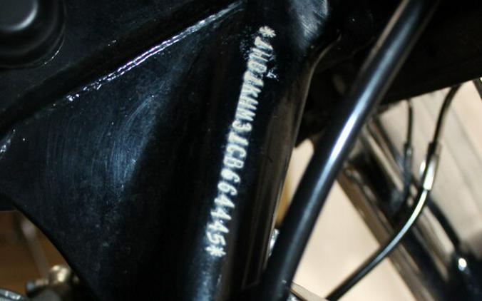 HD FLTRX103 2012 664445T BLACK W/ PINSTRIPE