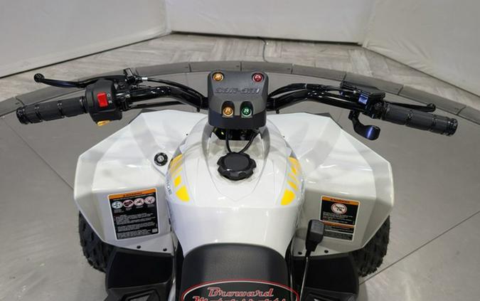 2024 Can-Am Renegade 110 EFI