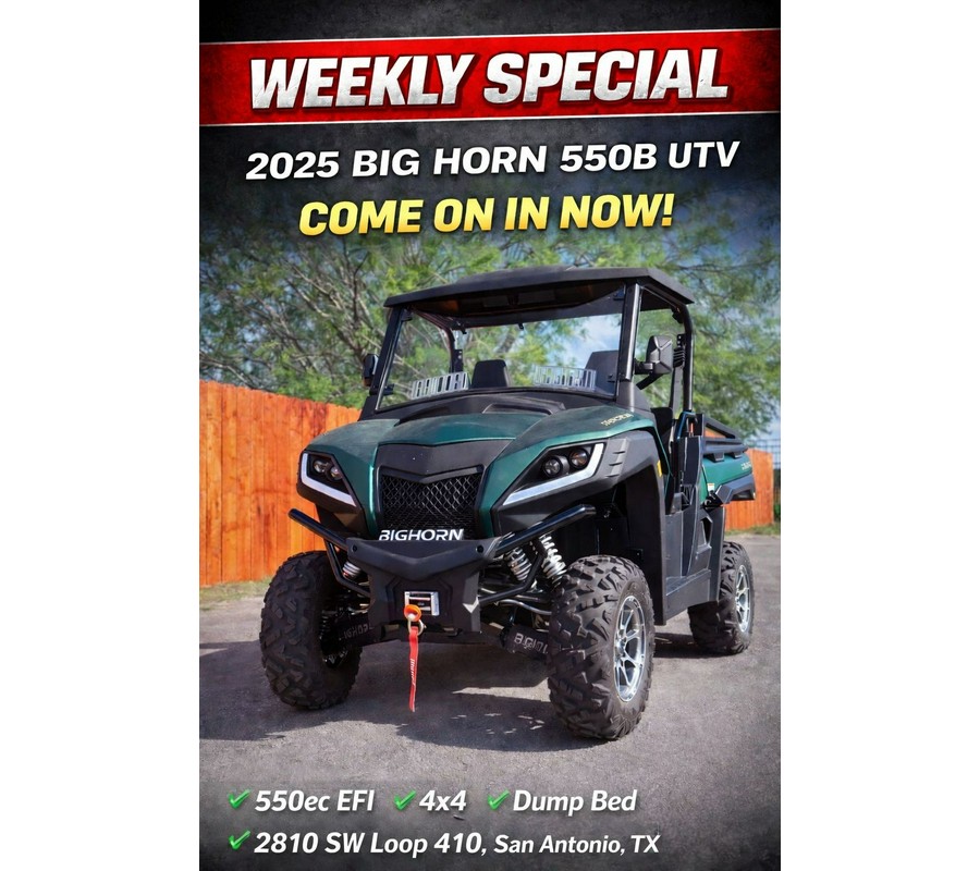 2025 BIG HORN POWER SPORT 550 B UTV