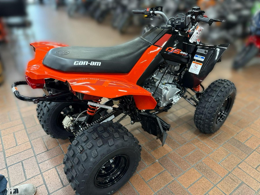 2026 Can-Am DS 2X4 250-4ST