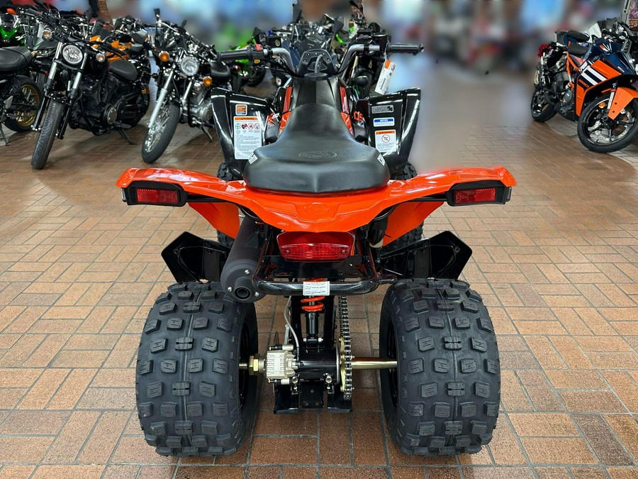 2026 Can-Am DS 2X4 250-4ST