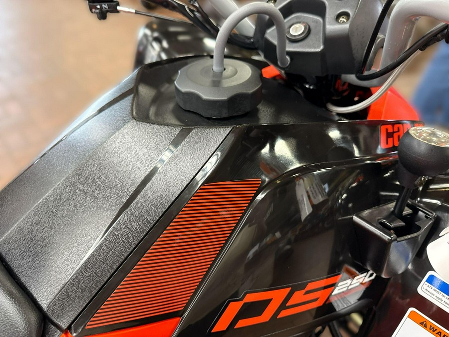 2026 Can-Am DS 2X4 250-4ST