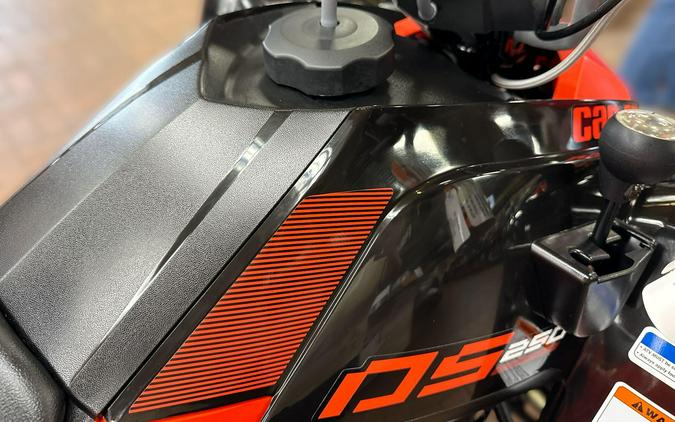 2026 Can-Am DS 2X4 250-4ST