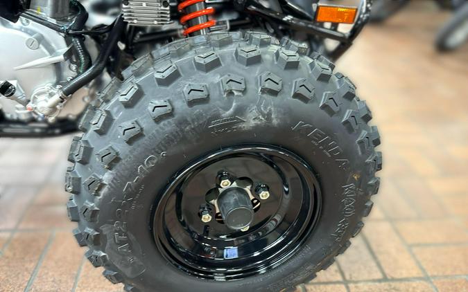 2026 Can-Am DS 2X4 250-4ST