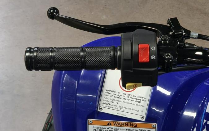2026 Yamaha Raptor 110