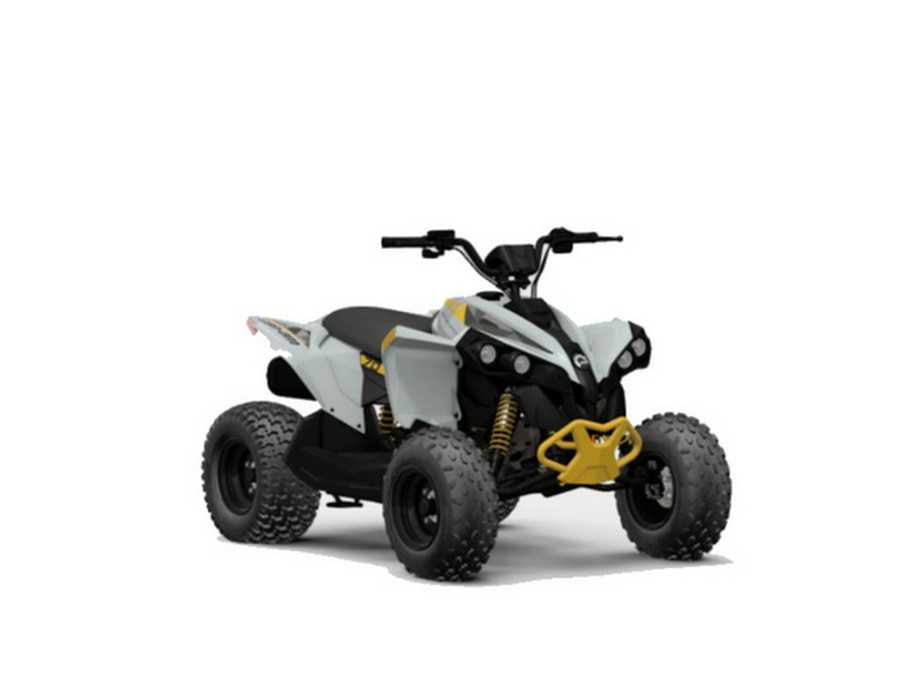 2024 Can-Am Renegade 70 EFI