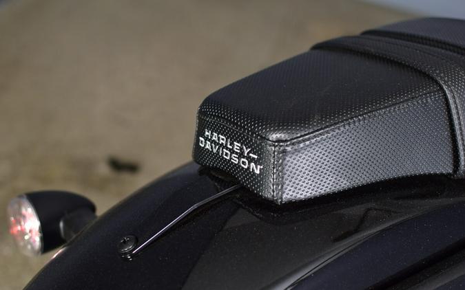 2025 Harley-Davidson Nightster Special