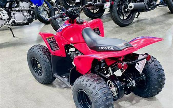 2024 Honda TRX90X