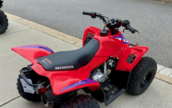 2024 Honda® TRX90X