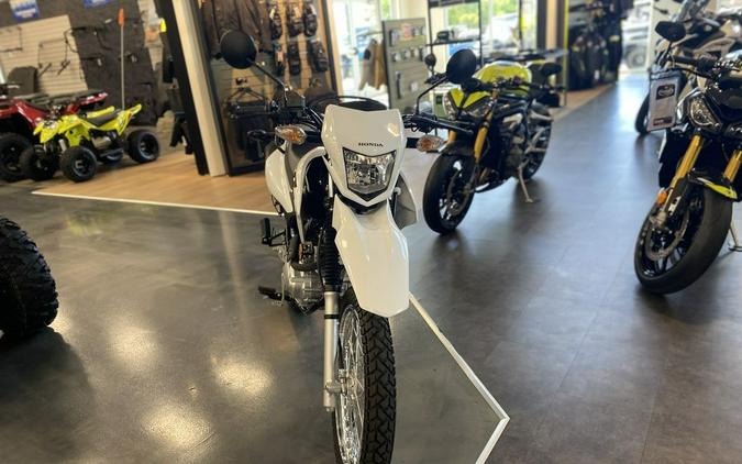 2023 Honda XR 150L