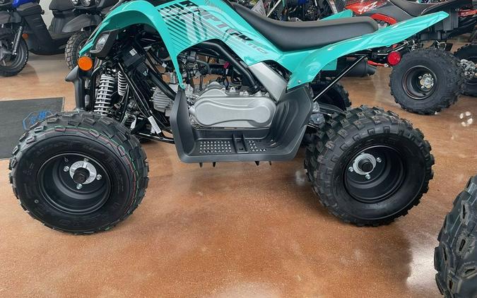 2024 Yamaha Raptor 110