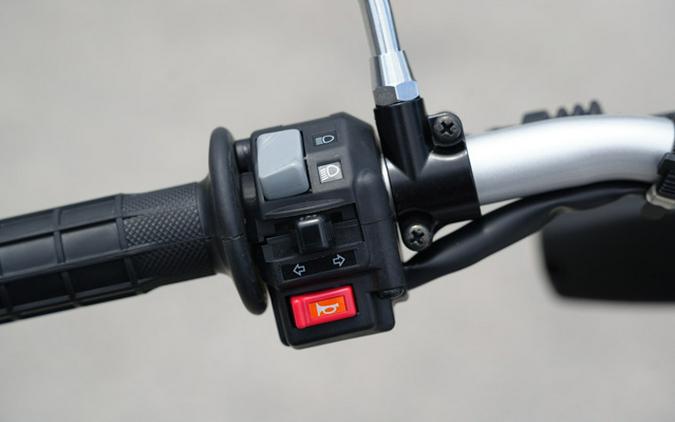 2025 Yamaha TW200 DUAL SPORT