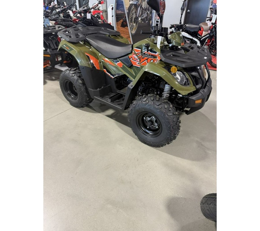 2025 Kayo Bull 300 EFI