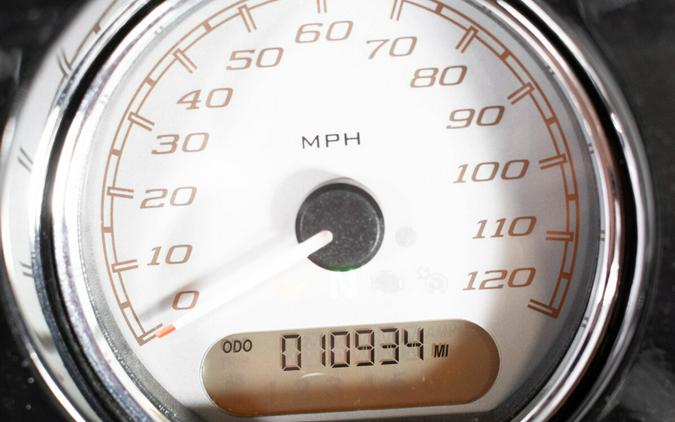 2014 Harley-Davidson Street Glide Special FLHXS