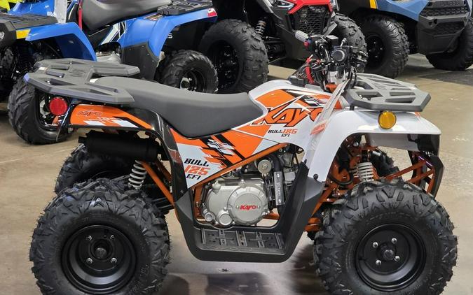 2026 Kayo Bull 125 EFI