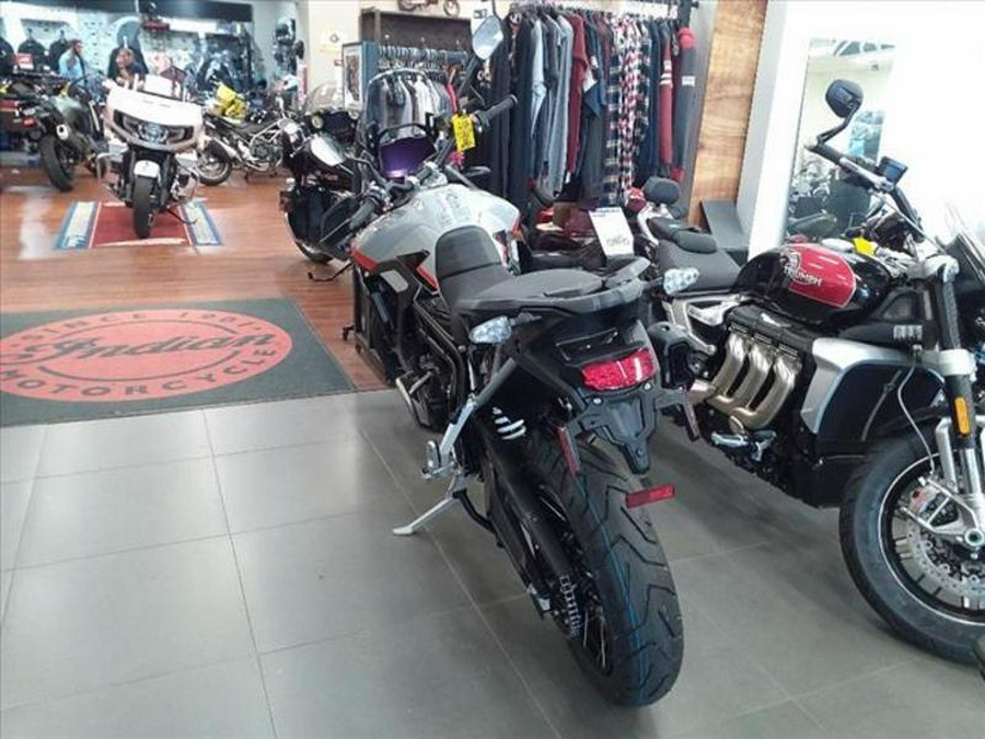 2024 Triumph TIGER 900