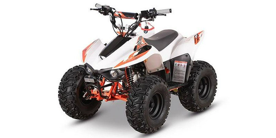 2026 Kayo STORM 70