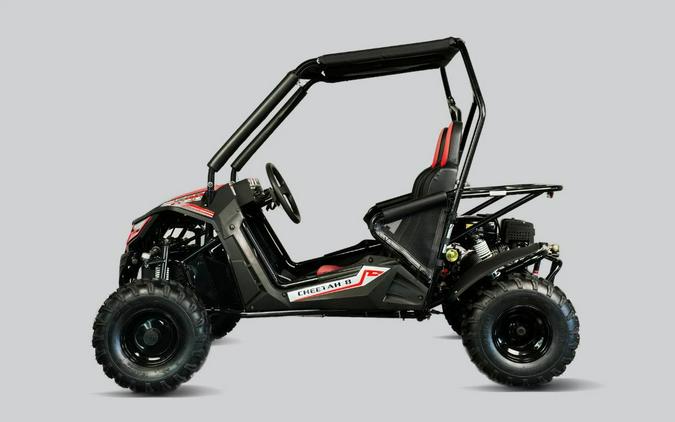 2026 TRAILMASTER POWERSPORTS Cheetah 8