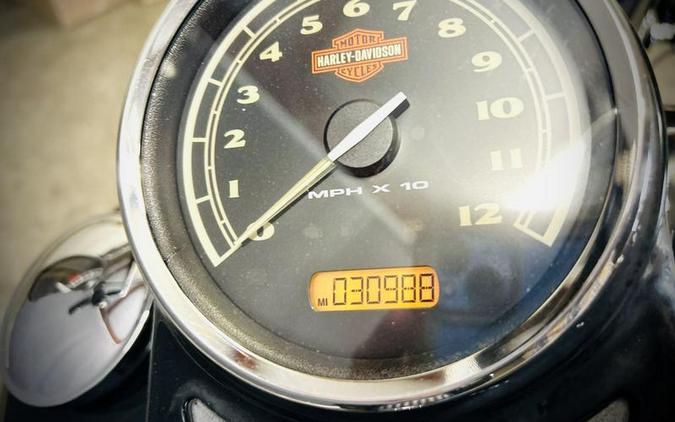 2012 Harley-Davidson® FLS103