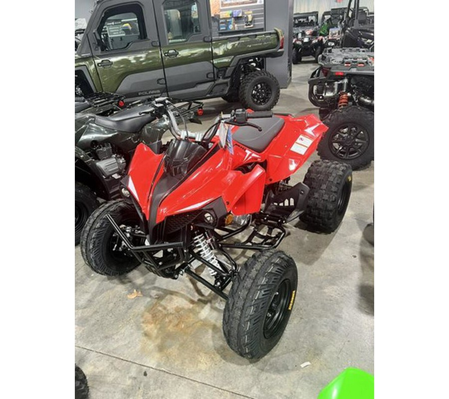 2026 Kayo Storm 300 EFI