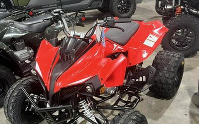 2026 Kayo Storm 300 EFI