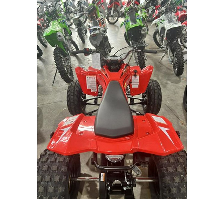 2026 Kayo Storm 300 EFI