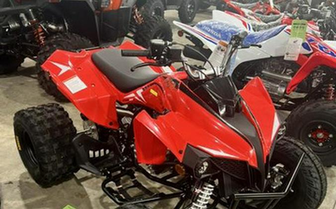 2026 Kayo Storm 300 EFI