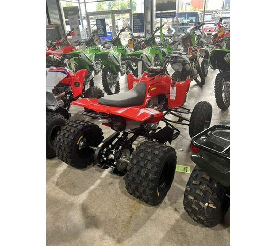 2026 Kayo Storm 300 EFI