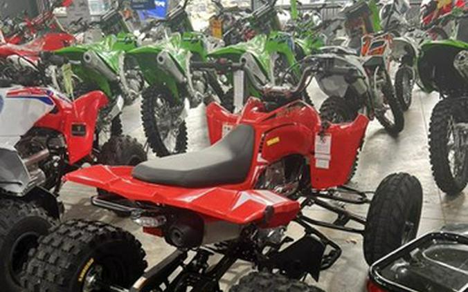 2026 Kayo Storm 300 EFI