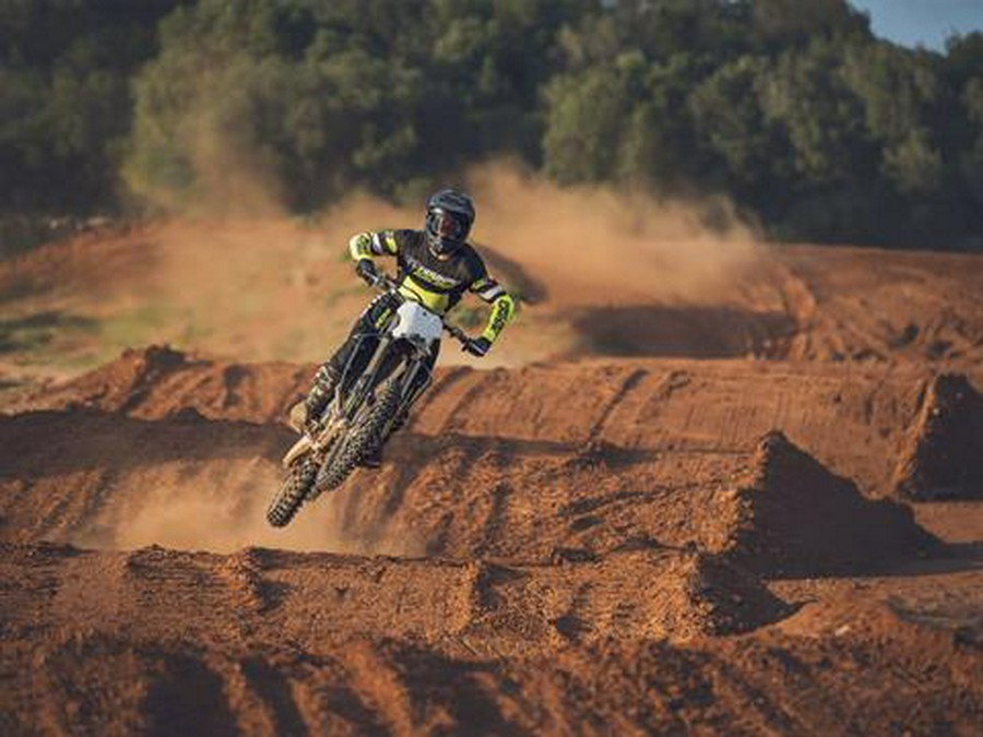 2026 Triumph TF 450-X