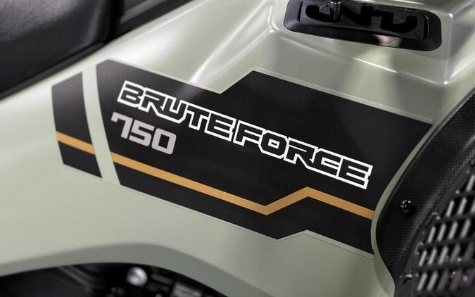 2024 Kawasaki Brute Force® 750 EPS LE