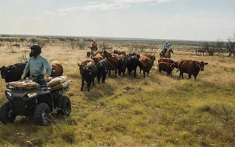 2025 Polaris Sportsman® 570 Premium
