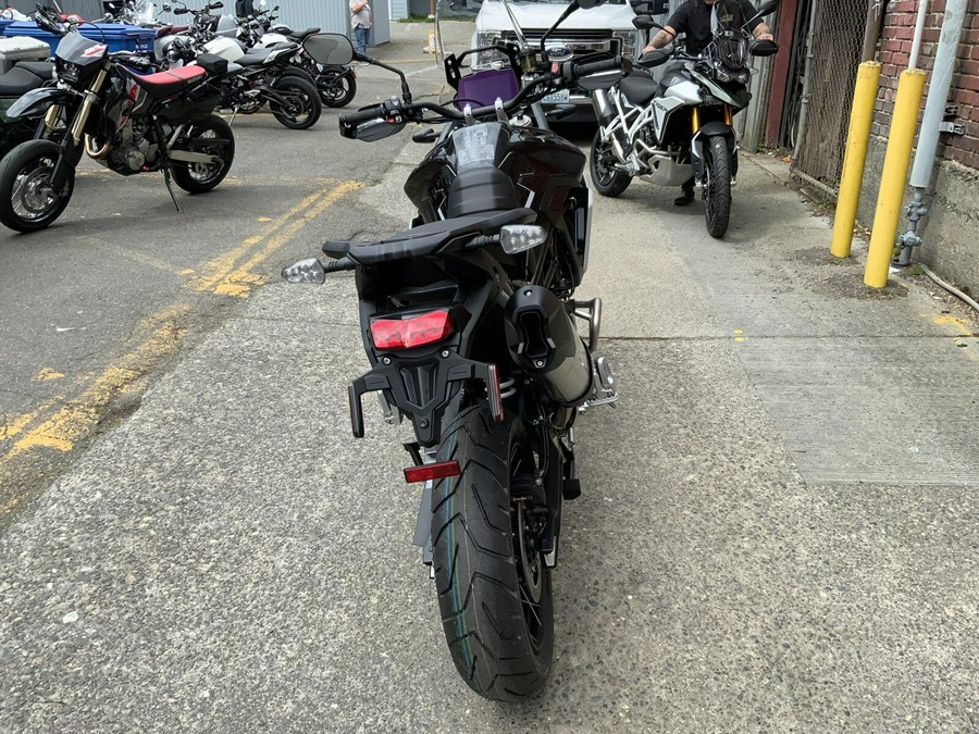 2025 Triumph TIGER 900 RALLY PRO