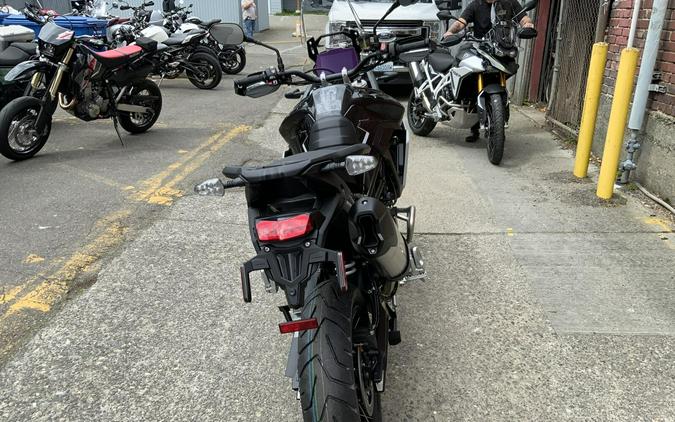 2025 Triumph TIGER 900 RALLY PRO