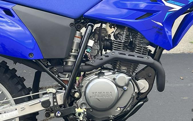 2026 Yamaha TT-R 230