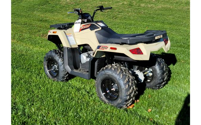 2023 Arctic Cat Alterra 300