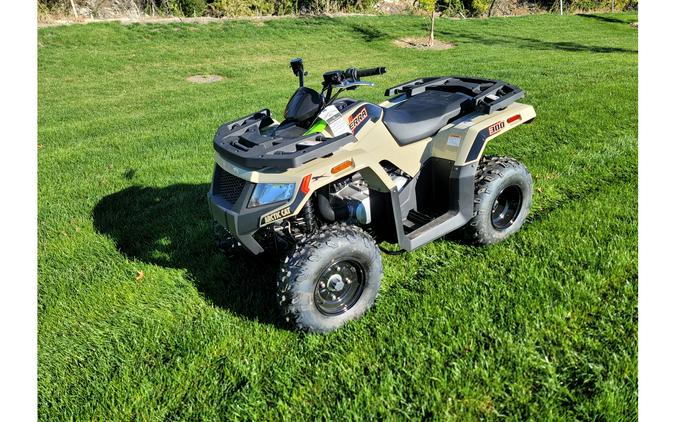 2023 Arctic Cat Alterra 300