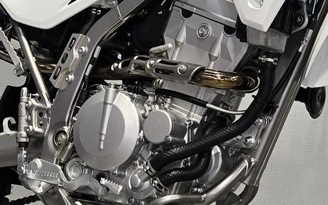 2026 Kawasaki KLX 300