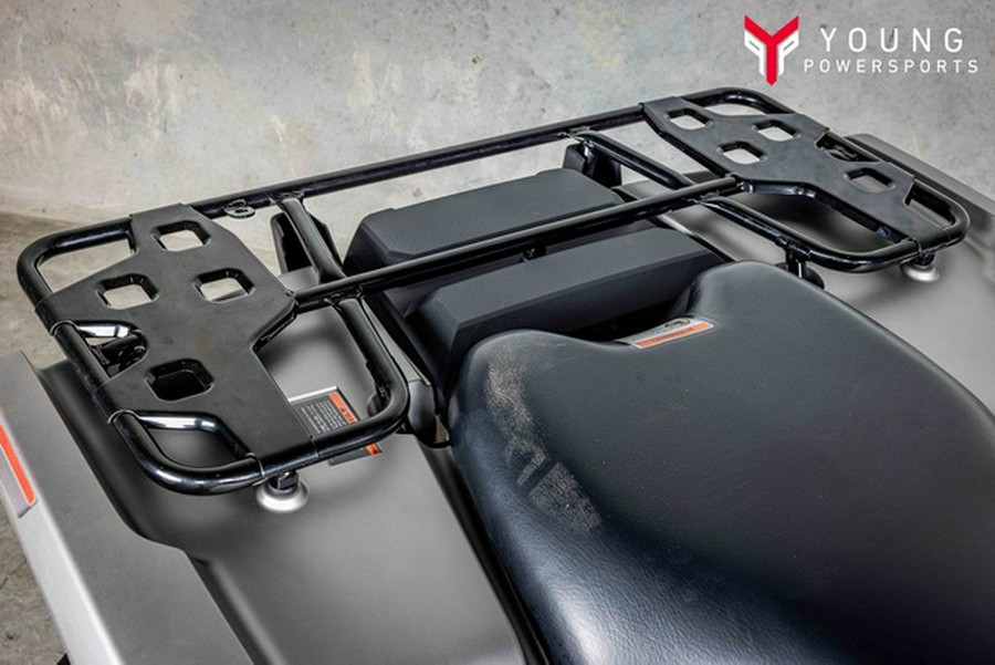 2026 Honda FourTrax Rubicon 700 4x4 Automatic Matte Silver 700 4x4 Automatic