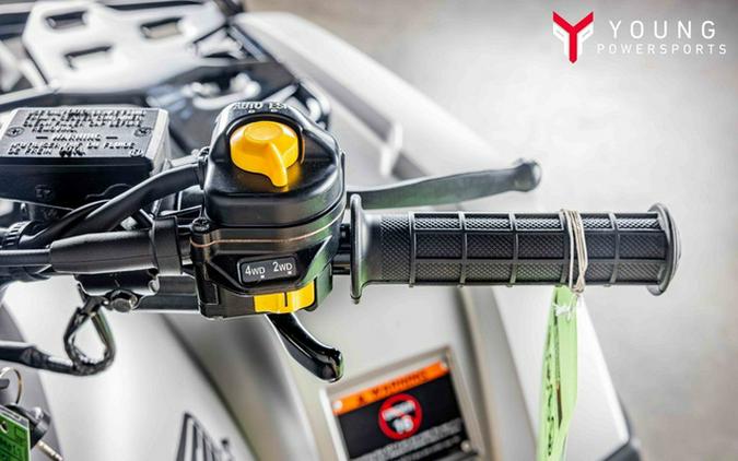 2026 Honda FourTrax Rubicon 700 4x4 Automatic Matte Silver 700 4x4 Automatic