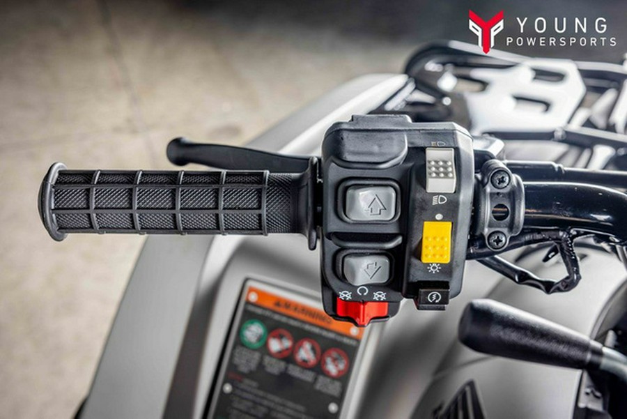 2026 Honda FourTrax Rubicon 700 4x4 Automatic Matte Silver 700 4x4 Automatic