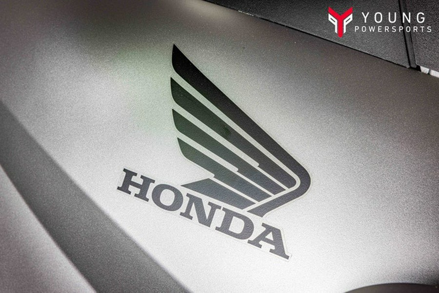 2026 Honda FourTrax Rubicon 700 4x4 Automatic Matte Silver 700 4x4 Automatic